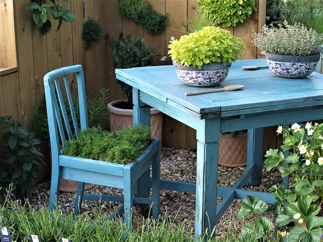 garden on table and chair